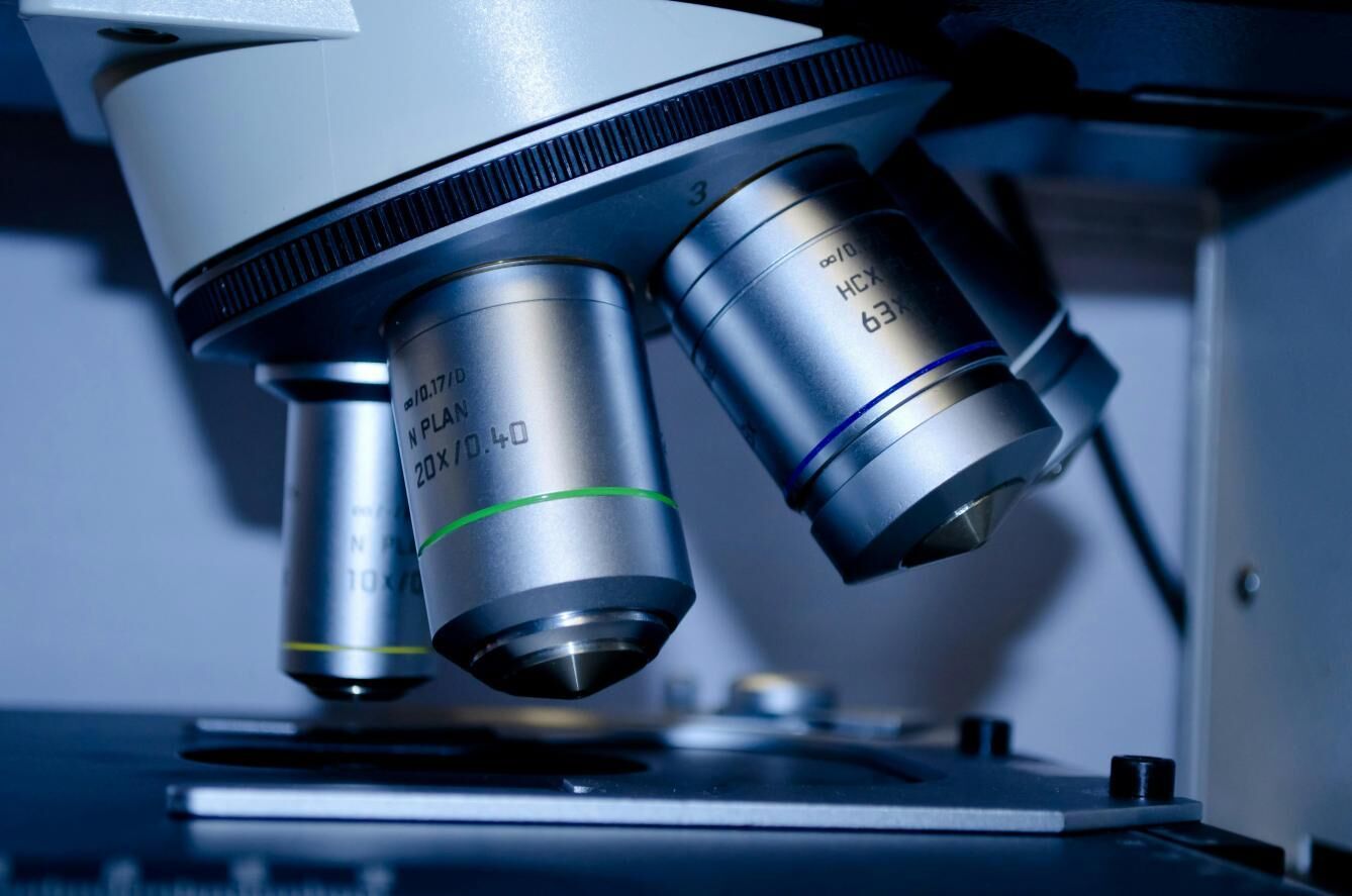 Seeing What We've Been Missing: How Stereo Microscopes Reawaken Curiosity